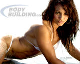 th_84152_bg41_1280_122_636lo.jpg